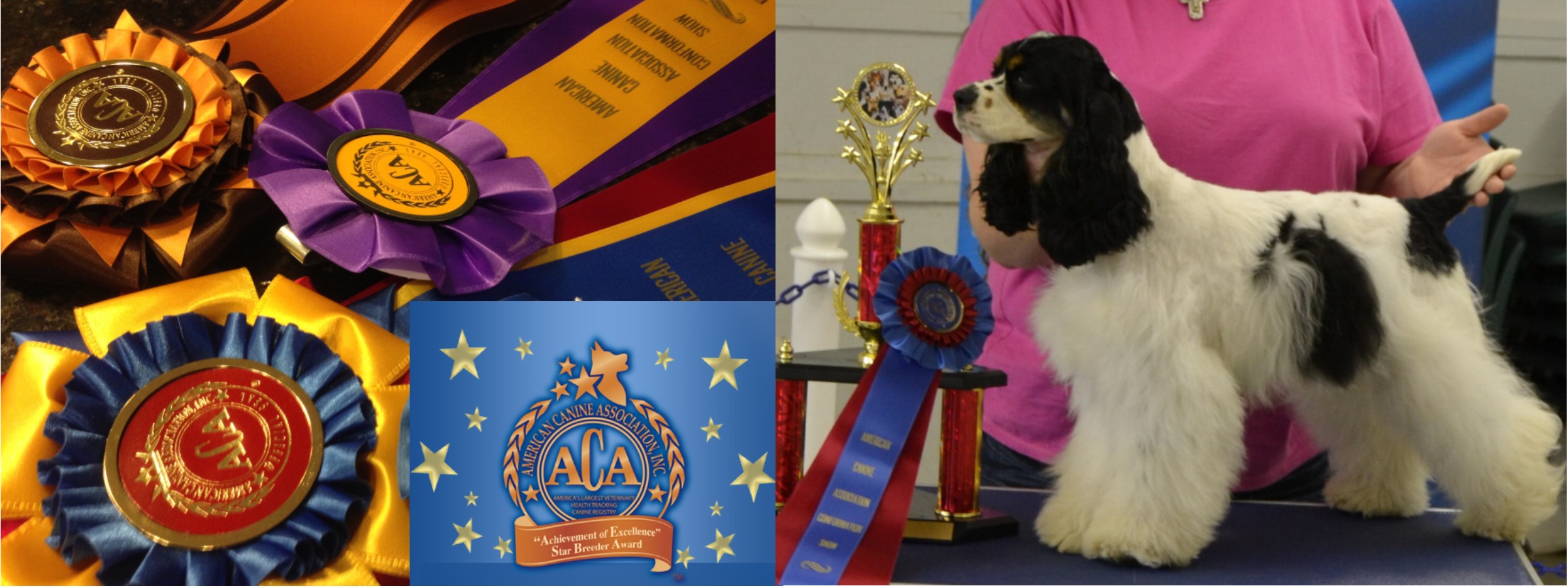 PPDBA - Pennsylvania Dog Shows Scheduled for April 4th, 2024